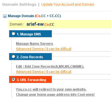 Domain settings   Manage Domain co.cc